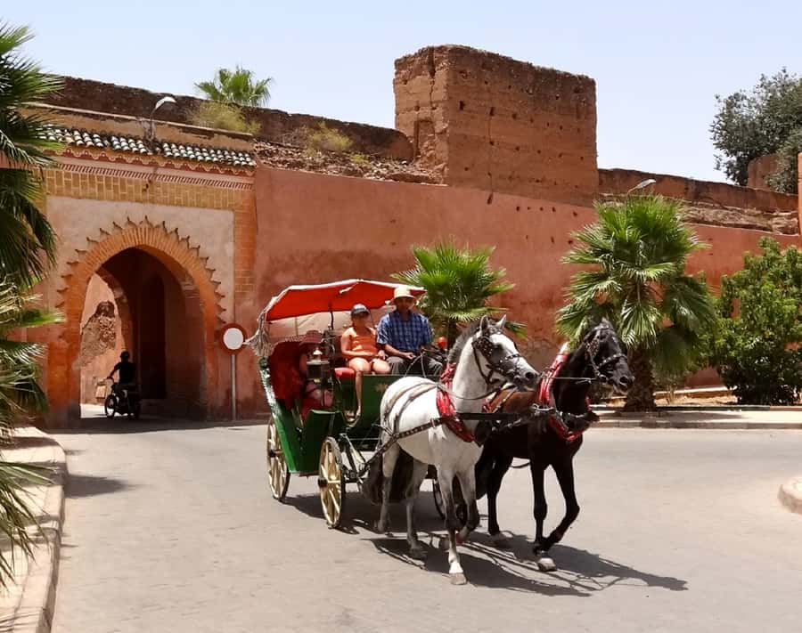Marrakech Excursion Full Day Trip From Agadir - What the $45 price really covers