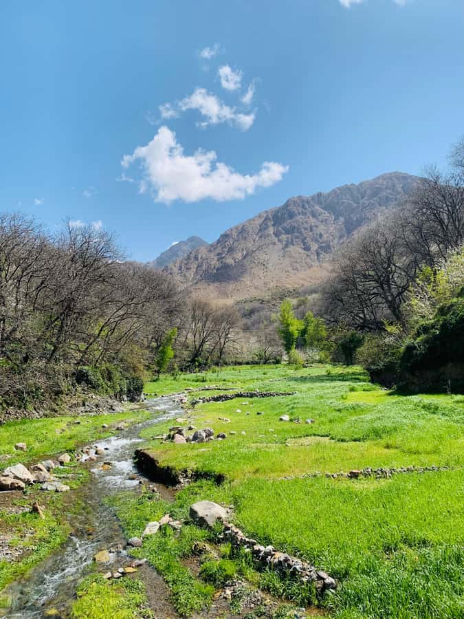 Marrakech: Imlil Atlas Mountains Day Trip with Lunch - Exploring village life after the walk