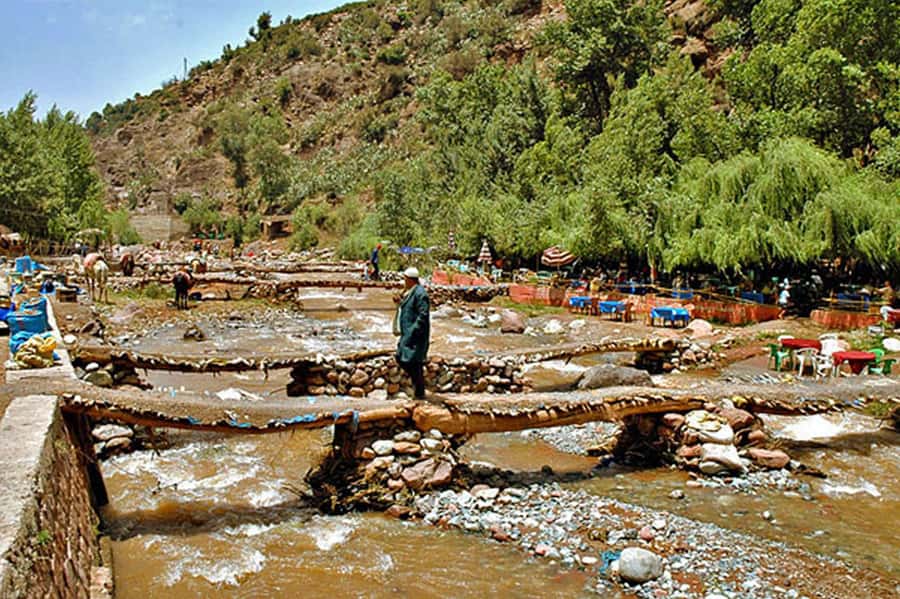 Marrakech: Ourika Valley and Atlas Mountains Day Trip - FAQ