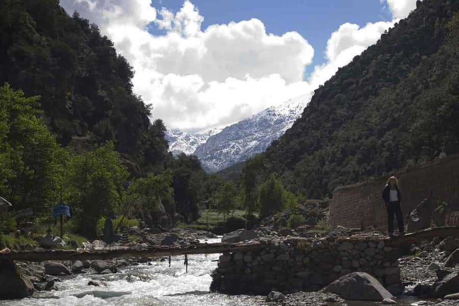 Marrakech: Ourika Valley and Atlas Mountains Day Trip - How good is the value at $7?
