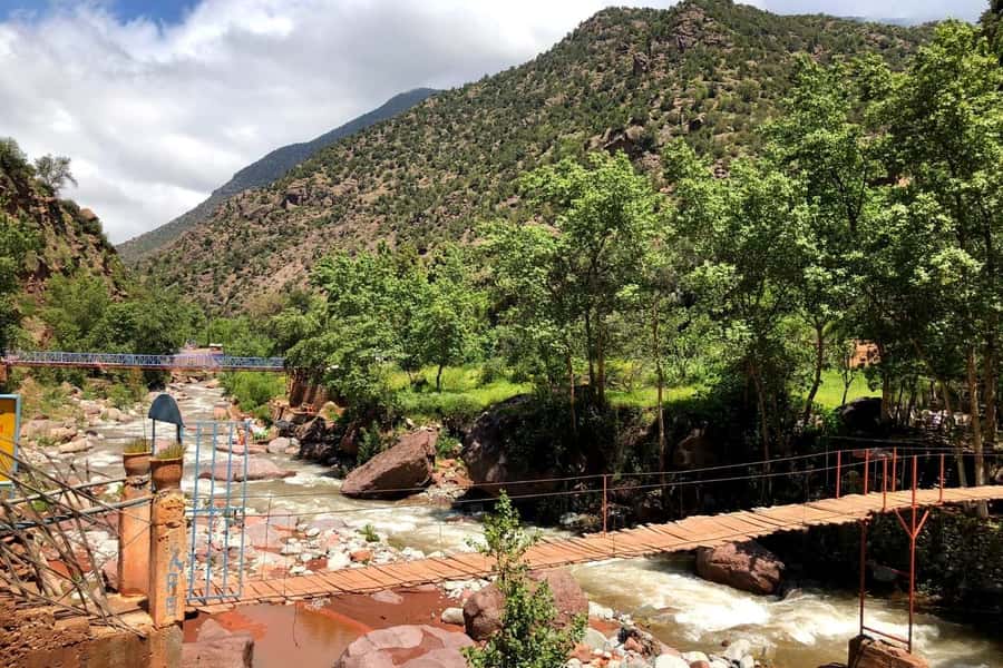 Marrakech: Ourika Valley and Atlas Mountains Day Trip - Who will enjoy this day trip most?