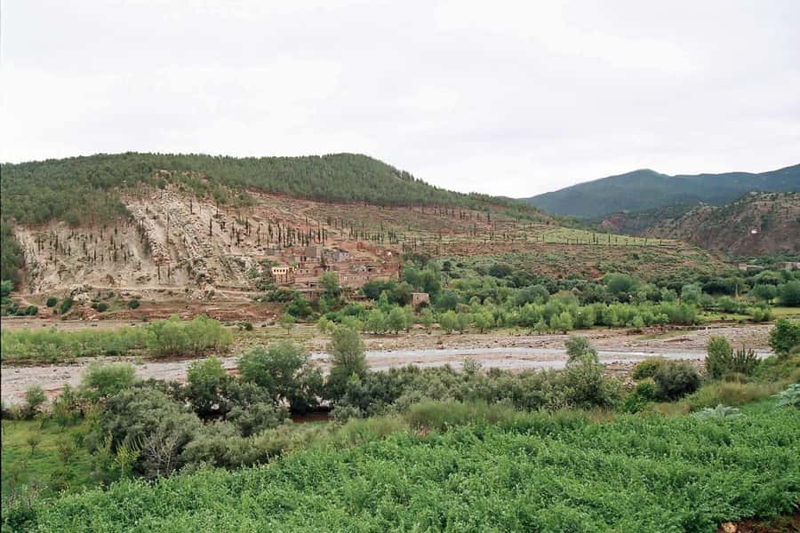 Marrakech: Ourika Valley and Atlas Mountains Day Trip - Simple ways to make the day better