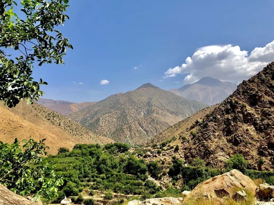 Marrakech: Ourika Valley & Atlas Mountains Half-Day Trip - How much value do you get for $64?