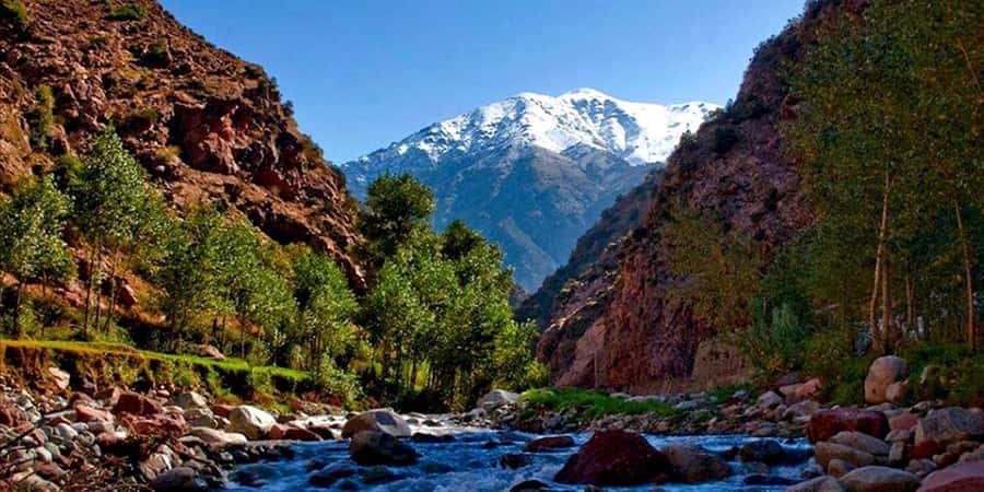 Marrakech: Ourika Valley Day Trip & Waterfalls Hike - Argan oil: useful context, with a shopping caution
