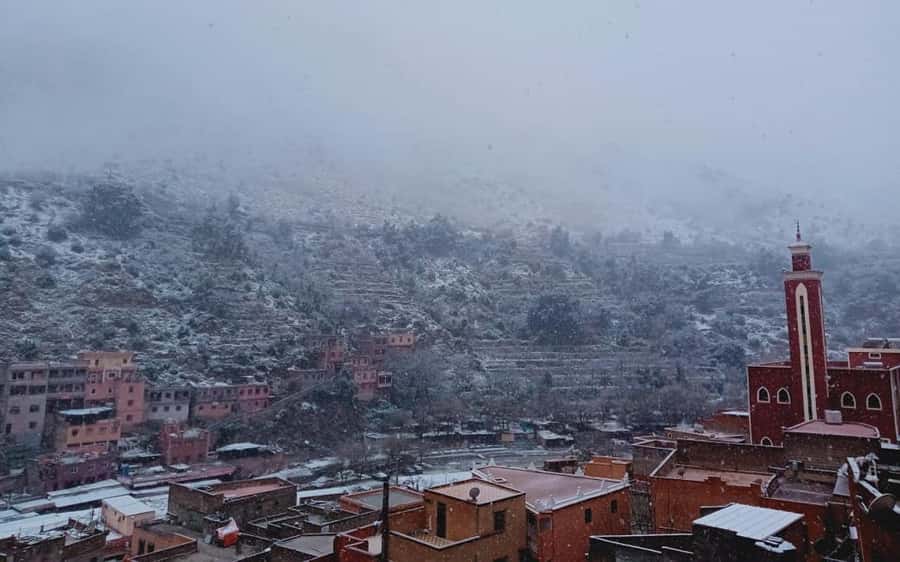 Marrakech: Ourika Valley Day Trip with Berber Village - Medicinal Plants and the Herbal Stop
