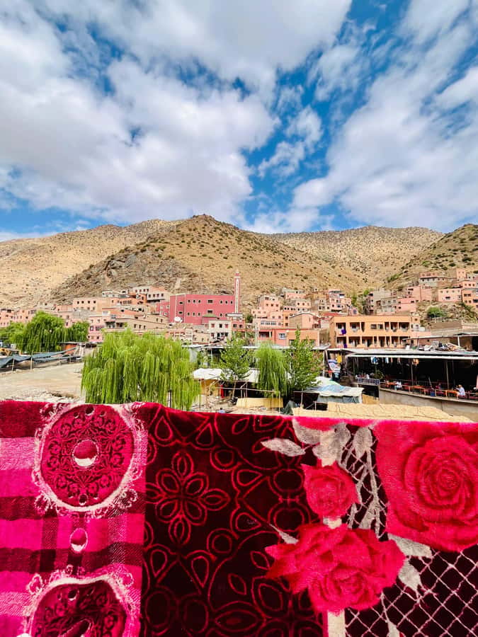 Marrakech: Ourika Valley Waterfalls & guided hike - Tea, village hospitality, and the argan oil cooperative