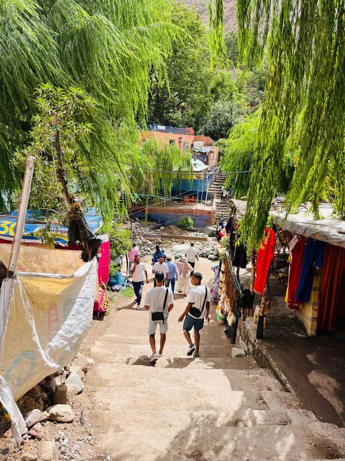 Marrakech: Ourika Valley Waterfalls & guided hike - The no-hike option beside the river