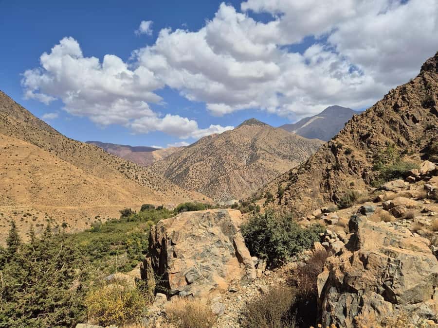 Marrakech: Ourika Valley, Waterfalls Private Trip with Lunch - Argan Oil, Made by Hand