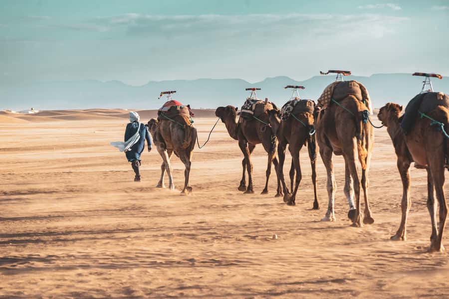 Marrakech to Zagora Desert: 2-Day trip via Ait Benhadou - Crossing the High Atlas and Tizi n’Tichka