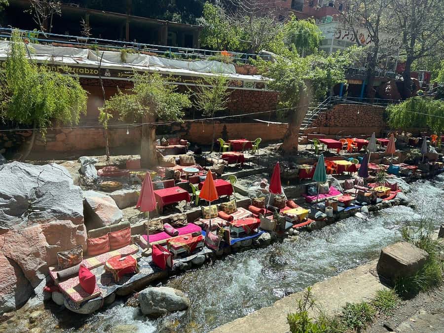 Marrakesh: Ourika Waterfalls, Atlas Mountains, Lunch + Guide - Guides, drivers, and the human side of the trip