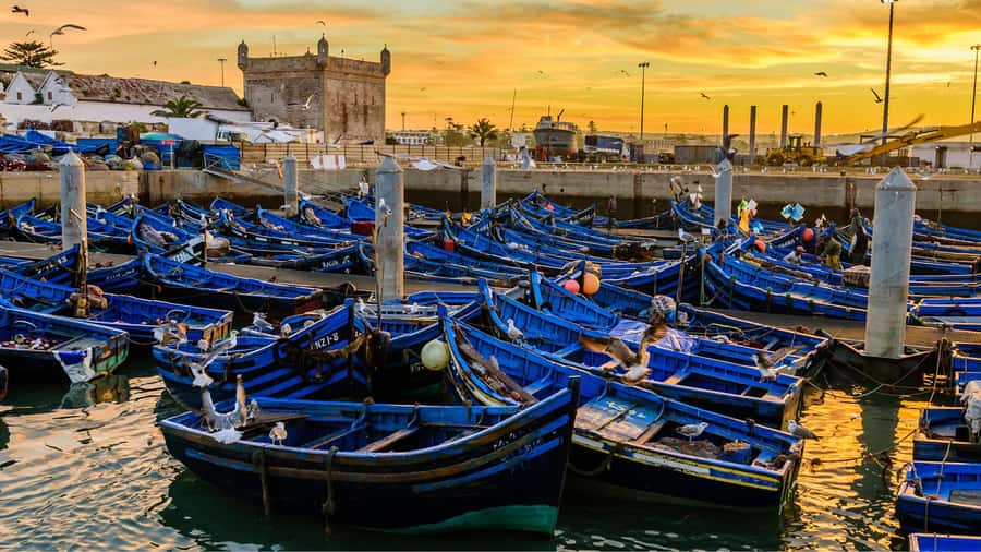 Marrakesh to Essaouira: Small-Group Day Trip & Cooperatives - Why Essaouira works as a day trip from Marrakech
