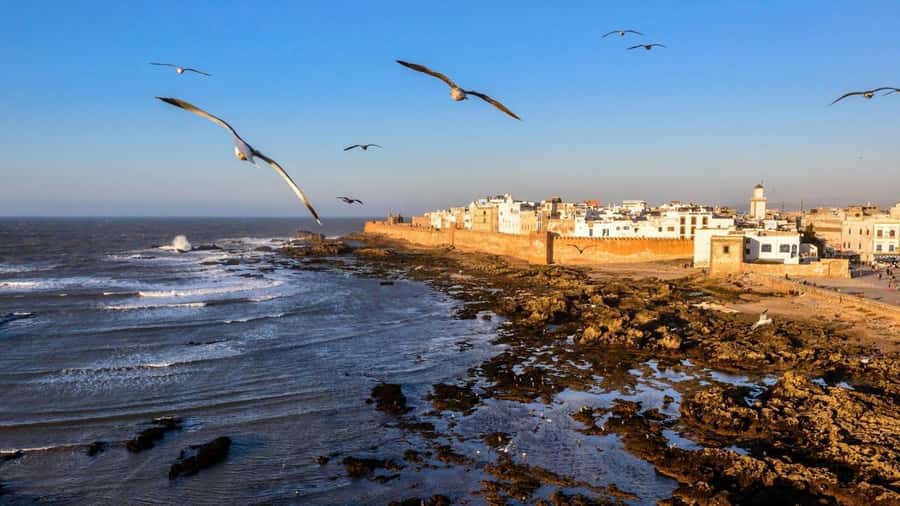 Marrakesh to Essaouira: Small-Group Day Trip & Cooperatives - Arriving in Essaouira around 11:30 am