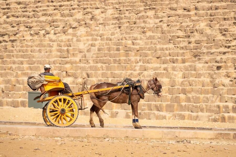 Marsa Alam: Ancient Cairo & Giza Pyramids Day Trip by Plane - Is $469 good value?