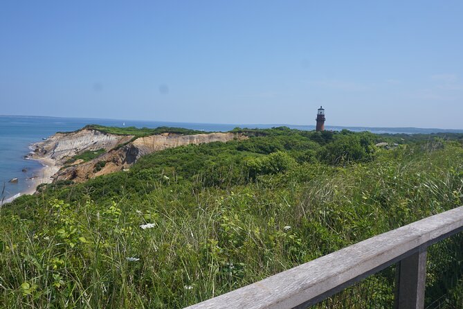 Martha's Vineyard Day Trip with Optional Island Tour from Boston - Is the three-hour island tour worth the extra fee?