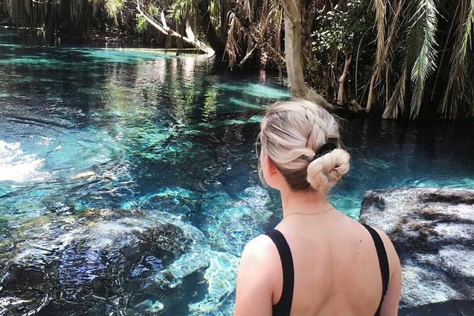 Materuni Waterfalls & Chemka Hotsprings Day Trip - Why this Arusha day trip works so well