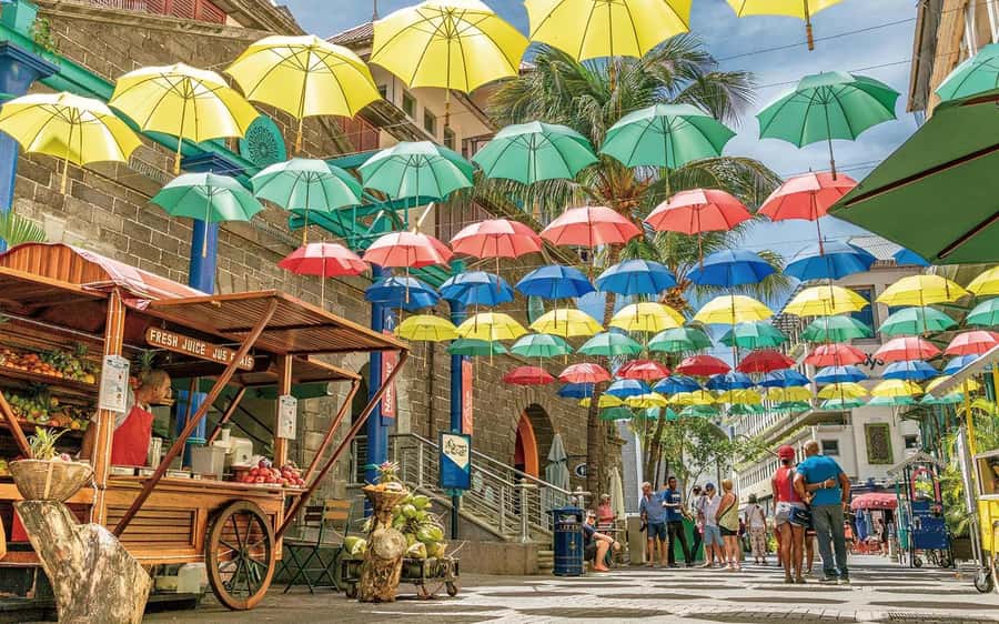 Mauritius: Port Louis and Northern Highlights Full-Day Trip - Why this north Mauritius day works