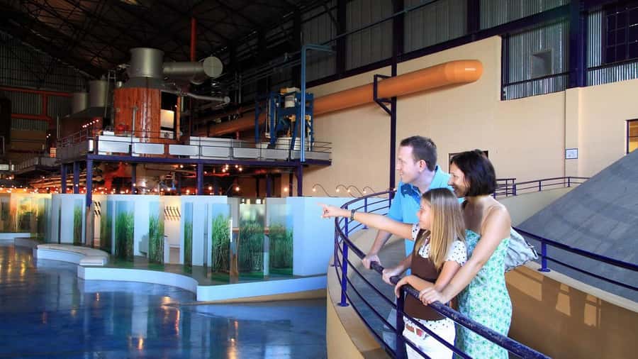 Mauritius: Port Louis and Northern Highlights Full-Day Trip - Pamplemousses Botanical Garden: one quiet hour