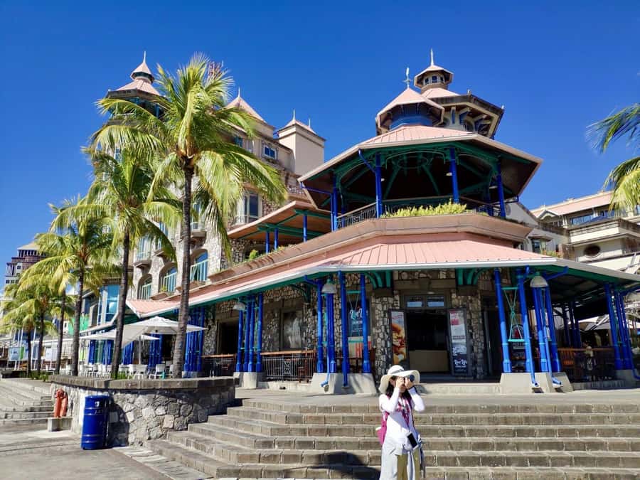 Mauritius: Port Louis and Northern Highlights Full-Day Trip - Guides, transport, and the private format