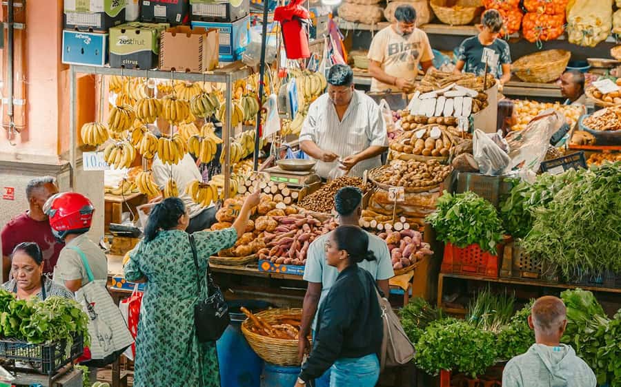 Mauritius: Port Louis and Northern Highlights Full-Day Trip - Fort Adelaide and the first view over Port Louis