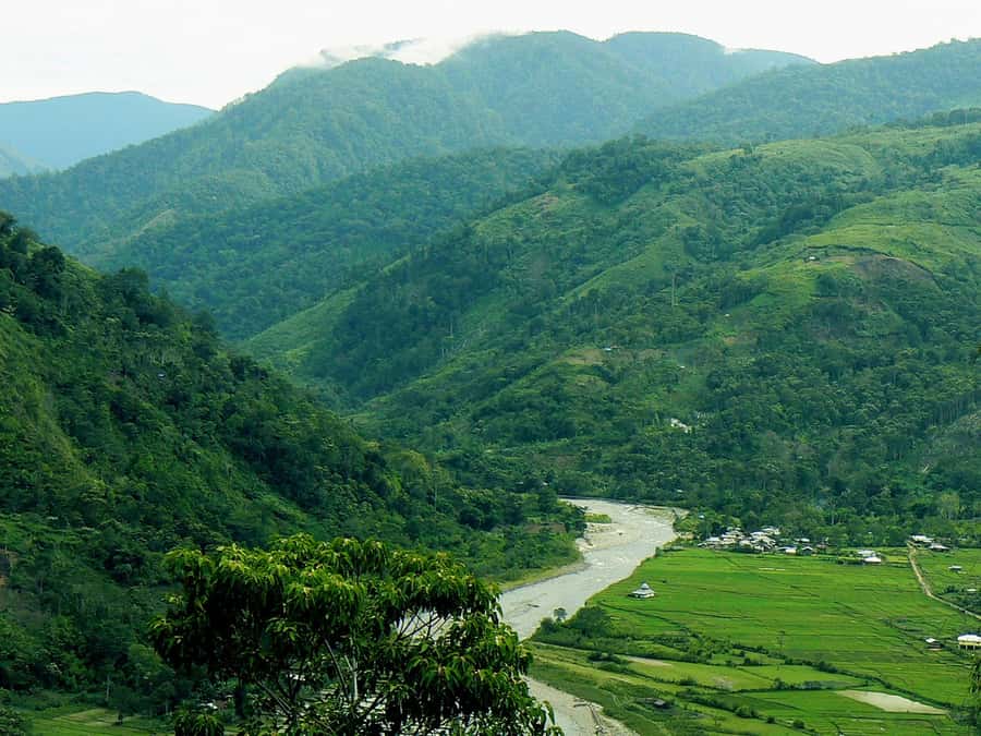 Medan: Mount Leuser National Park Full-Day Trip - Three hours under the rainforest canopy