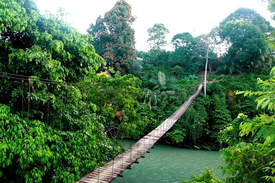Medan: Mount Leuser National Park Full-Day Trip - Is the $129 price good value?