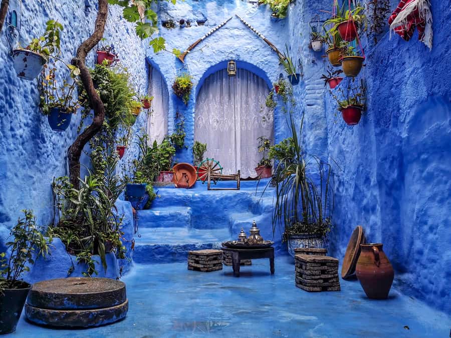 Memorable Day Trip From Fez to Chefchaouen the Blue City - Leaving Fez at 8 a.m.