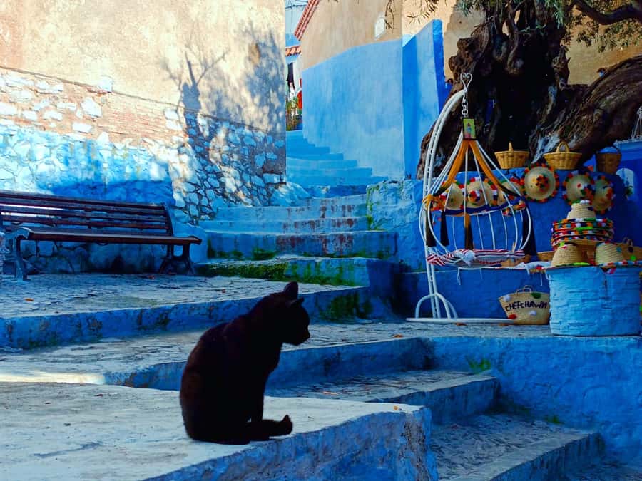 Memorable Day Trip From Fez to Chefchaouen the Blue City - Arriving in Chefchaouen