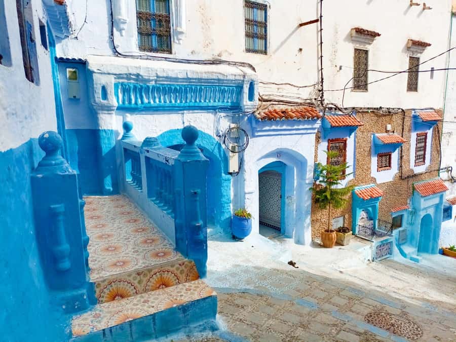 Memorable Day Trip From Fez to Chefchaouen the Blue City - Who should book this day trip?