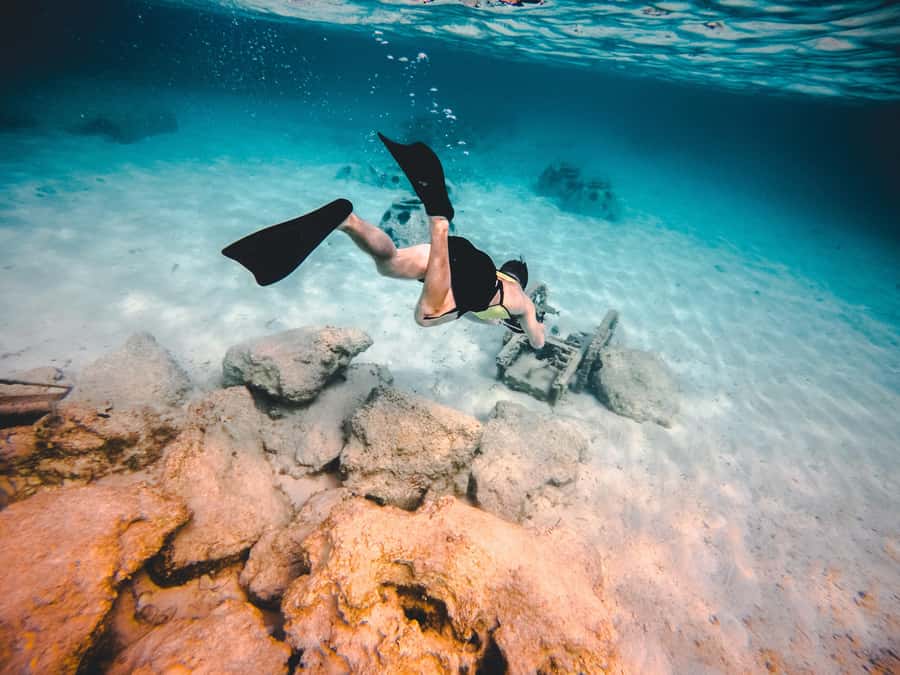 Miami: Key West Day Trip with pickup and boating options - Choosing snorkeling or dolphin spotting