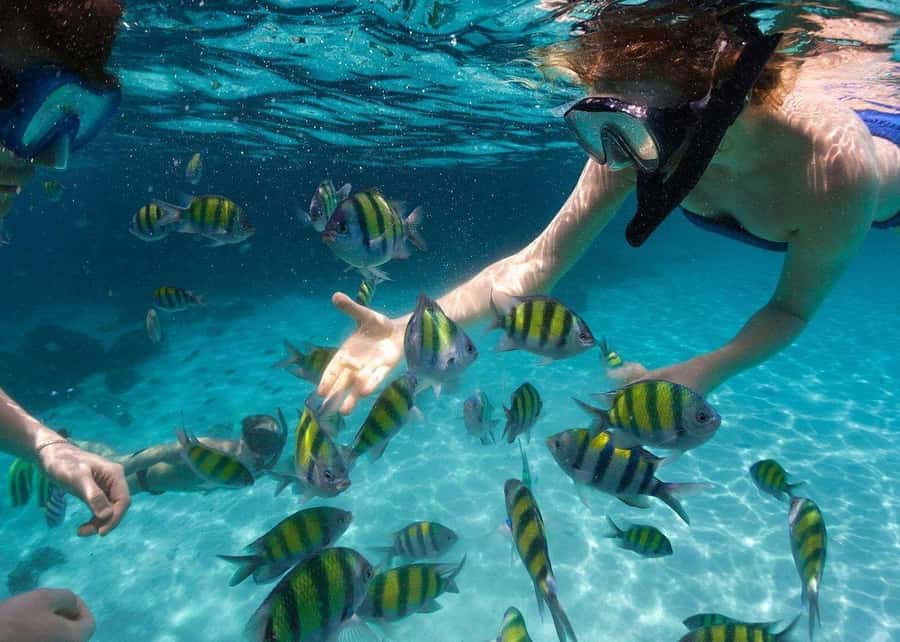 Miami to Key West Day Trip with Optional Activities - Crossing 34 islands and 42 bridges