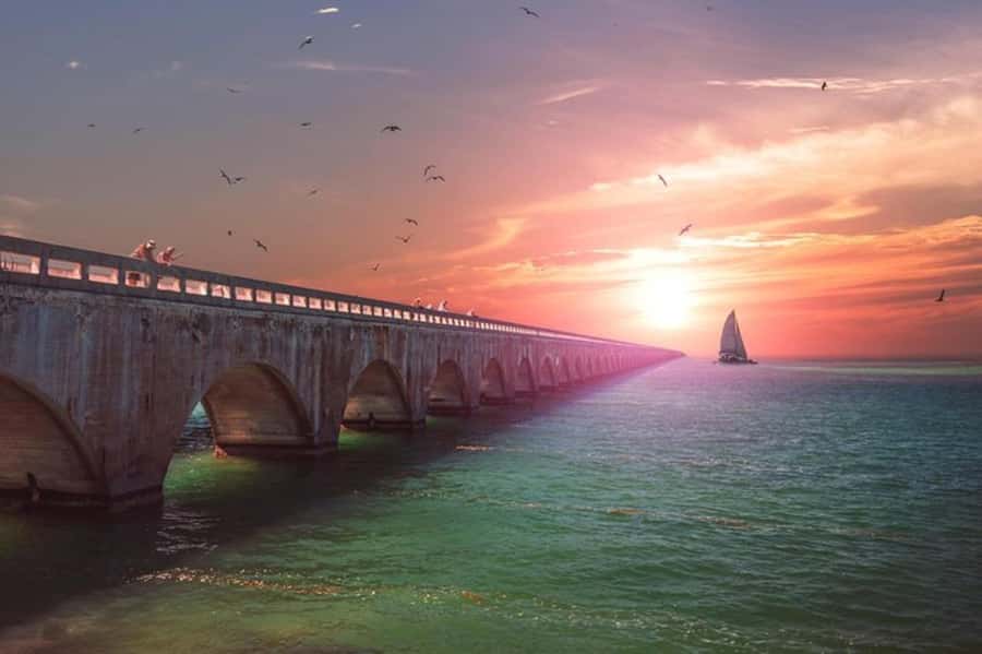 Miami to Key West Day Trip with Optional Activities - The real cost and value of the day