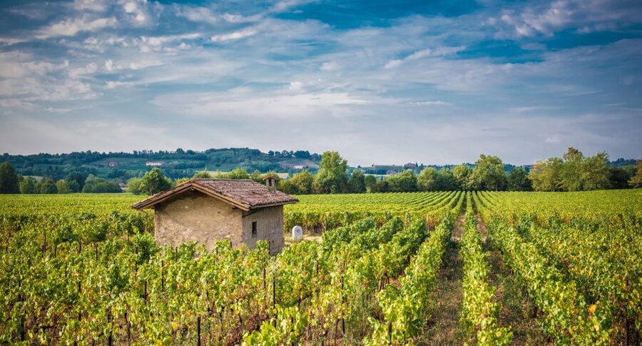 Milan: Franciacorta Winery and Bergamo Day Trip with Lunch - Key points to know before booking