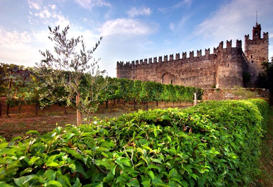 Milan: Franciacorta Winery and Bergamo Day Trip with Lunch - Lunch near Lake Iseo, with time to slow down