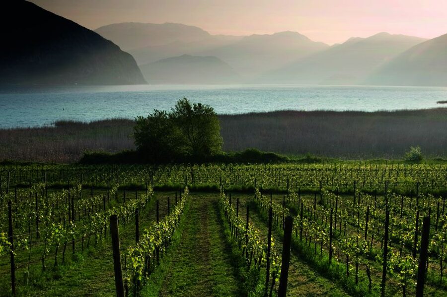Milan: Franciacorta Winery and Bergamo Day Trip with Lunch - Is $328.53 a fair price?