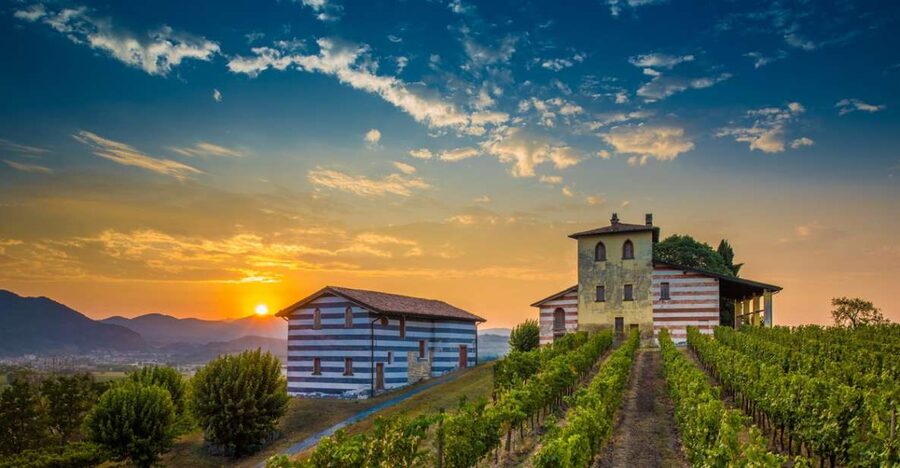 Milan: Franciacorta Winery and Bergamo Day Trip with Lunch - Who should book this experience?