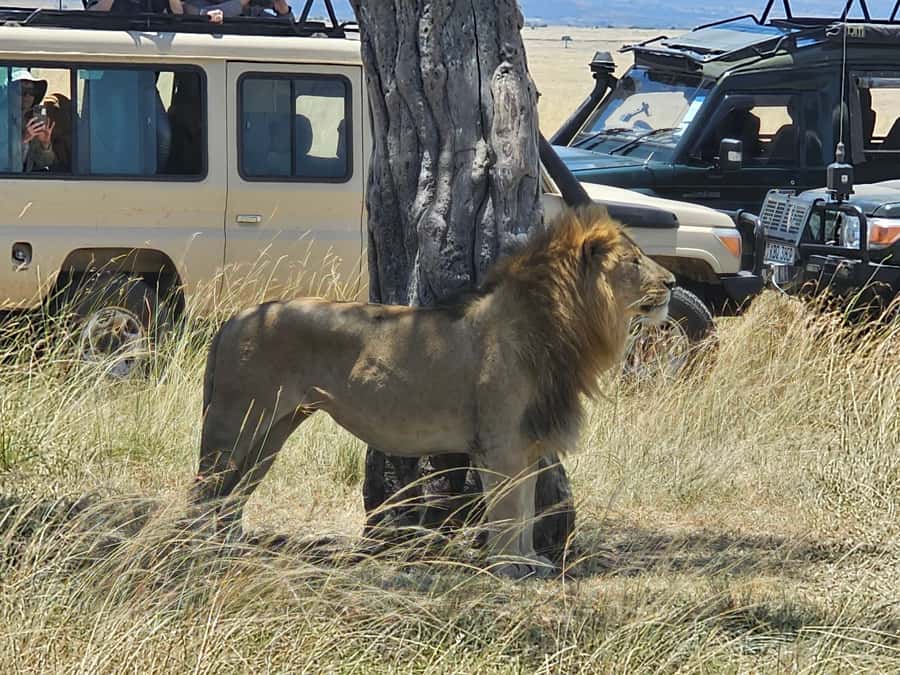 Mombasa: Tsavo East National Park Day Trip with Lunch - The Yatta Plateau and Tsavo’s volcanic scale