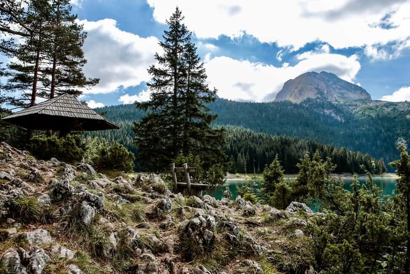 Montenegro: Durmitor, Tara & Ostrog Monastery Day Trip - From Kotor Bay to the high country