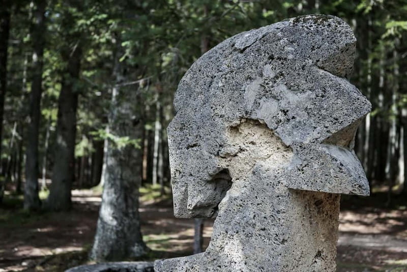 Montenegro: Durmitor, Tara & Ostrog Monastery Day Trip - What the long bus day really feels like