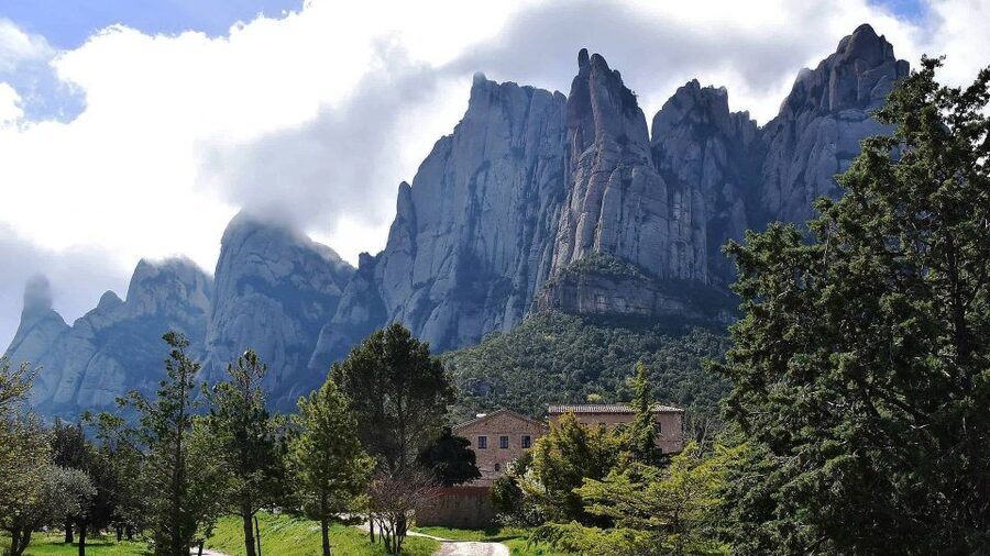 Montserrat & Cava Wineries Day Trip from Barcelona w/ Pickup - Who should book this Montserrat and cava trip?