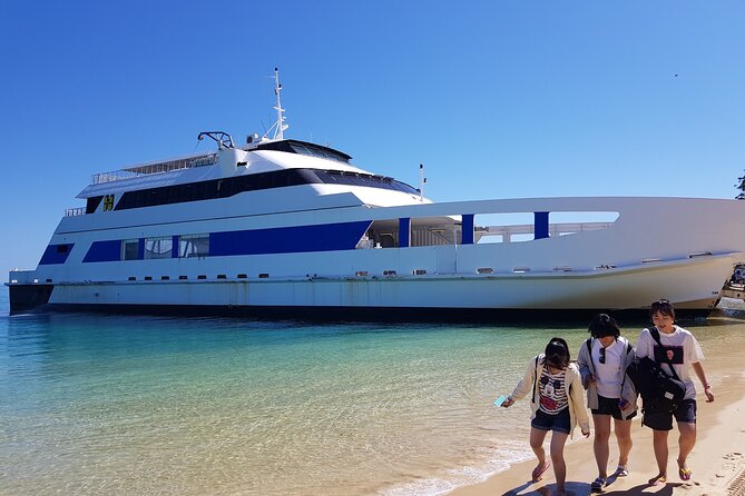 Moreton Island Day Trip (Kayak, Snorkel & Sandboard) frm Brisbane or Gold Coast - Transparent kayaking over the reef