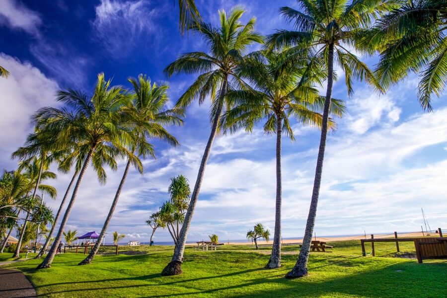 Moreton Island: Tangalooma Day Trip & Whale Watching Cruise - Is $109 good value for this Moreton Island day trip?