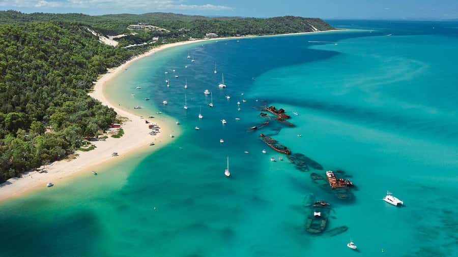Moreton Island: Tangalooma Day Trip with ATV Quad Bike Tour - What the ATV quad bike ride is really like