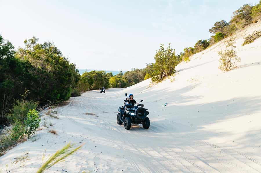 Moreton Island: Tangalooma Day Trip with ATV Quad Bike Tour - Who should book this Moreton Island day trip?