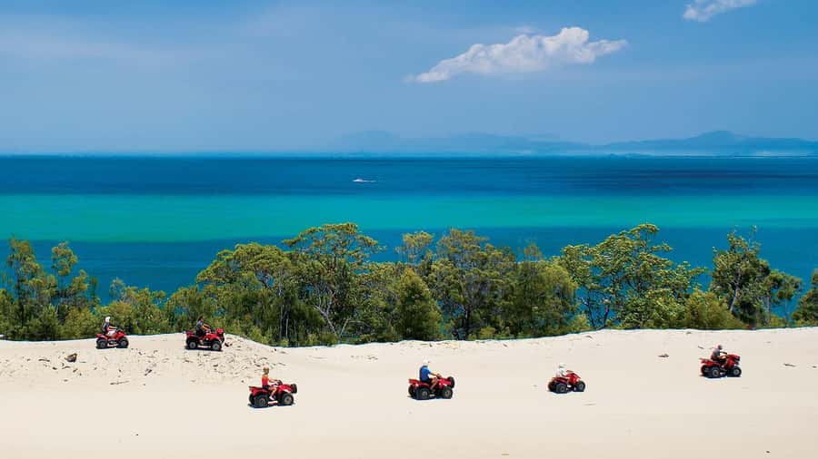 Moreton Island: Tangalooma Day Trip with ATV Quad Bike Tour - Final verdict: a well-priced island day with a gentle ATV ride