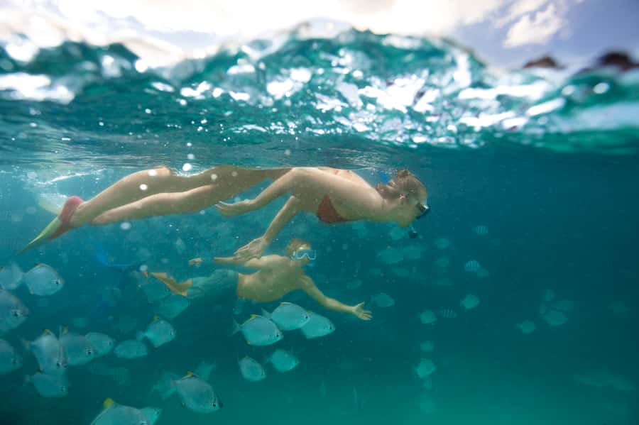 Moreton Island: Tangalooma Day Trip with Snorkeling Tour - Key points to know before booking
