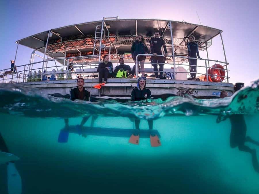 Moreton Island: Tangalooma Day Trip with Snorkeling Tour - Lunch with a $25 voucher