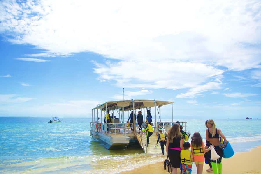 Moreton Island: Tangalooma Day Trip with Snorkeling Tour - Snorkeling around the 15 Tangalooma Wrecks