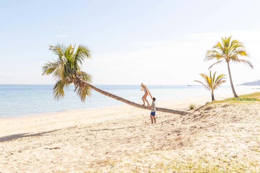 Moreton Island: Tangalooma Day Trip with Snorkeling Tour - Pools, beach time, and Eco Ranger activities