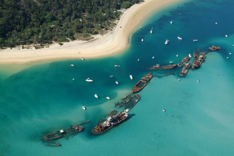 Moreton Island: Tangalooma Day Trip with Snorkeling Tour - The 3:15pm dolphin presentation