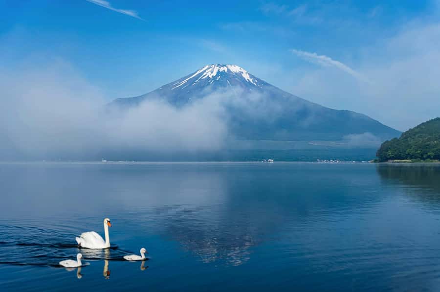Mount Fuji Private Day Trip With Customizable Itinerary - What the guides add to the experience